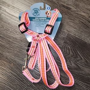 Greenbrier Kennel Club Dog Harness and Leash S